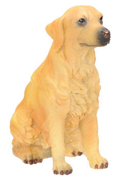 Summit golden sale retrievers