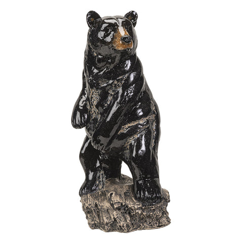 BLACK BEAR C/6