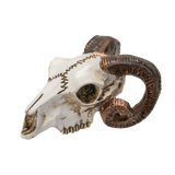 RAMS SKULL MINI C/144