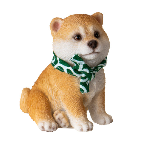 SHIBA INU C/36