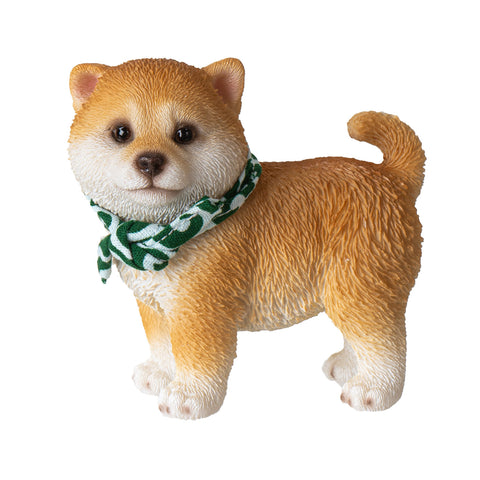 SHIBA INU C/36