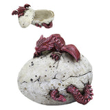 DRAGON EGG RED BOX C/16