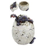 Dragon Egg Box