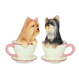 YORKIE TEA CUP S & P C/48