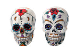 D.O.D SUGAR SKULL S & P C/36