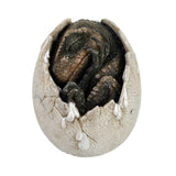 DINOSAUR EGG C/24