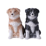 BORDER COLLIE SP SET C/48 MINIMUM OF 4