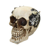 STEAMPUNK SKULL C/24