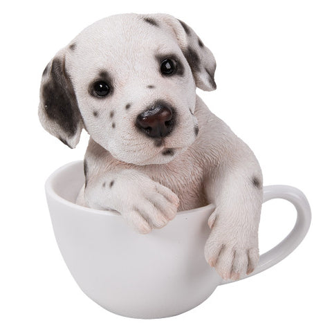 DALMATIAN TEACUP PUPS, C/12