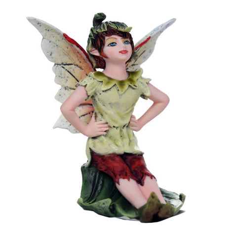 SMALL FAIRY C/36