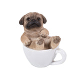 DISC-PUG MINI TEACUP PUPS C/24