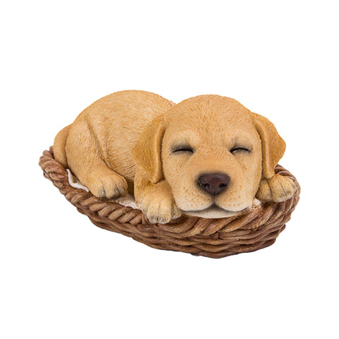 DISC-LABRADOR WICKER BASKET C/8