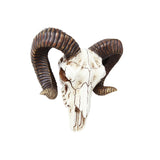 RAM SKULL C/3