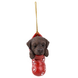 CHOCOLATE LABRADOR ORNAMENT C/96