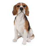 BEAGLE C/1