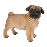 PUG C/1