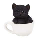 BLACK MINI TEACUP KITTEN C/24