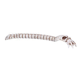 ^SKELETON BACK SCRATCHER C/16