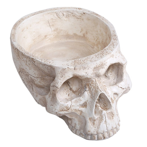 SKULL PLANTER C/4