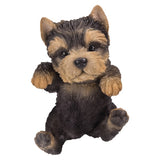 YORKIE POT PAL C/6