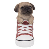 DISC-PUG IN SHOE C/6