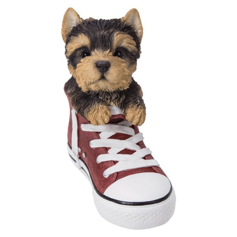 DISC-YORKIE IN SHOE C/6