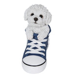 BICHON FRIESE IN SHOE C/6