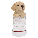 DISC-LABRADOR IN SHOE C/6