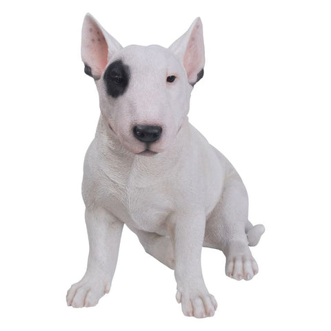 BULL TERRIER C/1