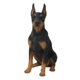 DOBERMAN PINSCHER C/1