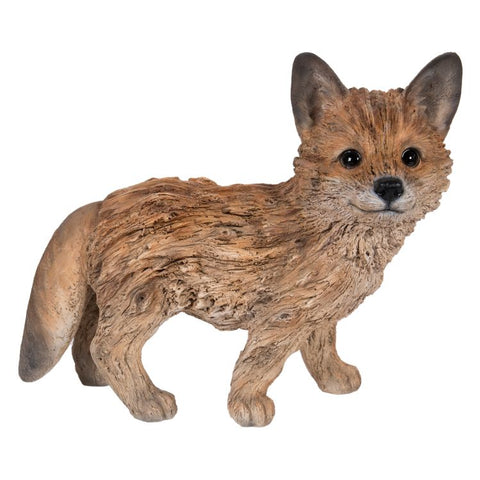 DRIFTWOOD FOX C/1