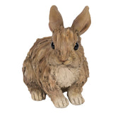 DRIFTWOOD BABY RABBIT C/6