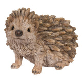 DRIFTWOOD HEDGEHOG C/1