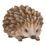 DRIFTWOOD BABY HEDGEHOG C/18