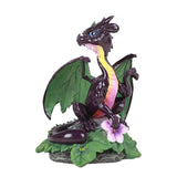 EGGPLANT DRAGON C/24