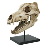 DIRE WOLF SKULL C/6