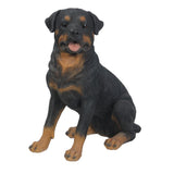 ROTTWEILER C/1