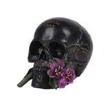 SKULL WITH FLOWER C/8