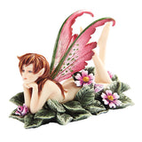 PRIMROSE FAERY C/12