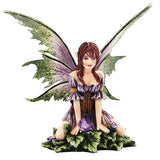 WILD VIOLET FAERY C/12