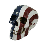 Stars and Stripes Skull