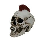 PUNK SKULL C/12